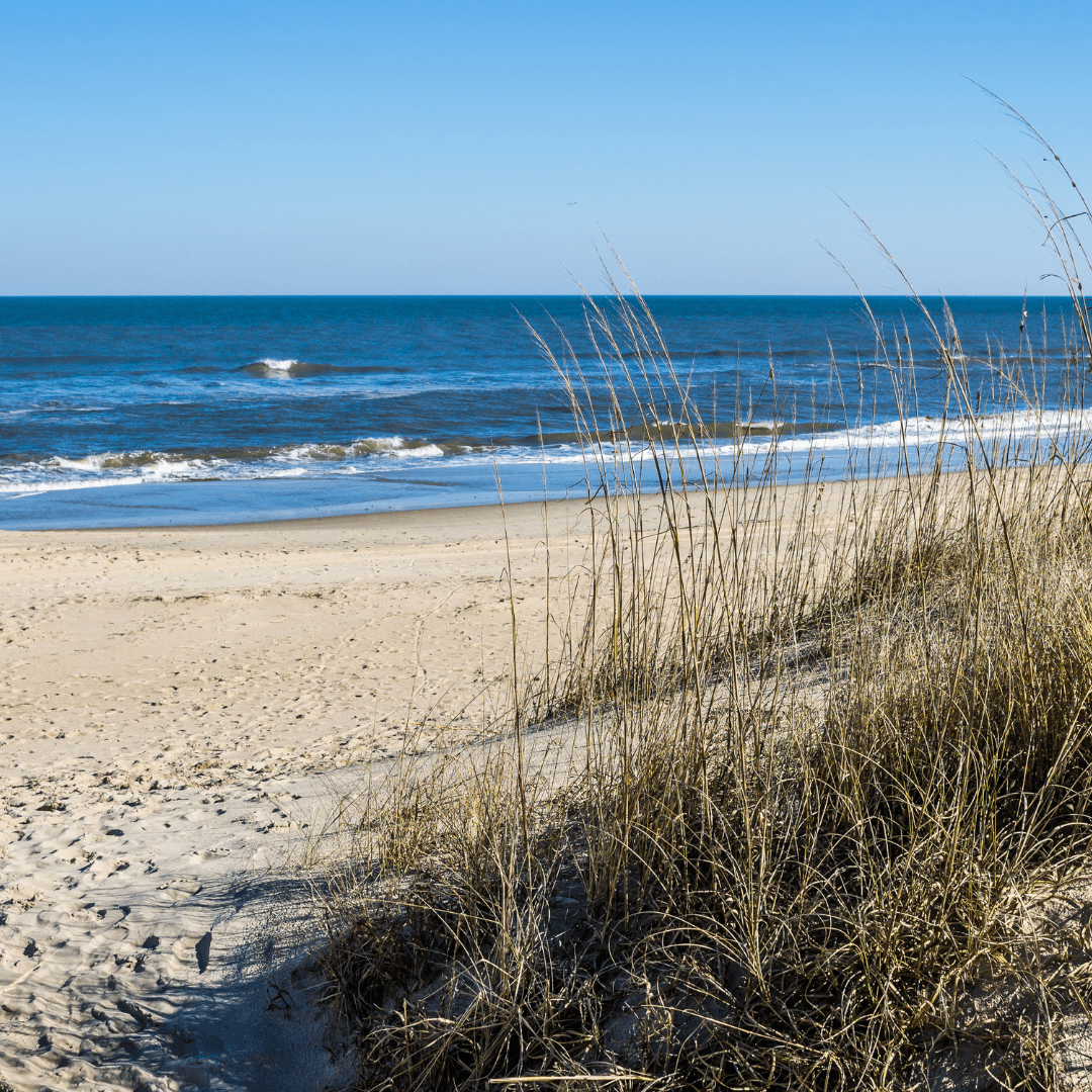 Beach Area